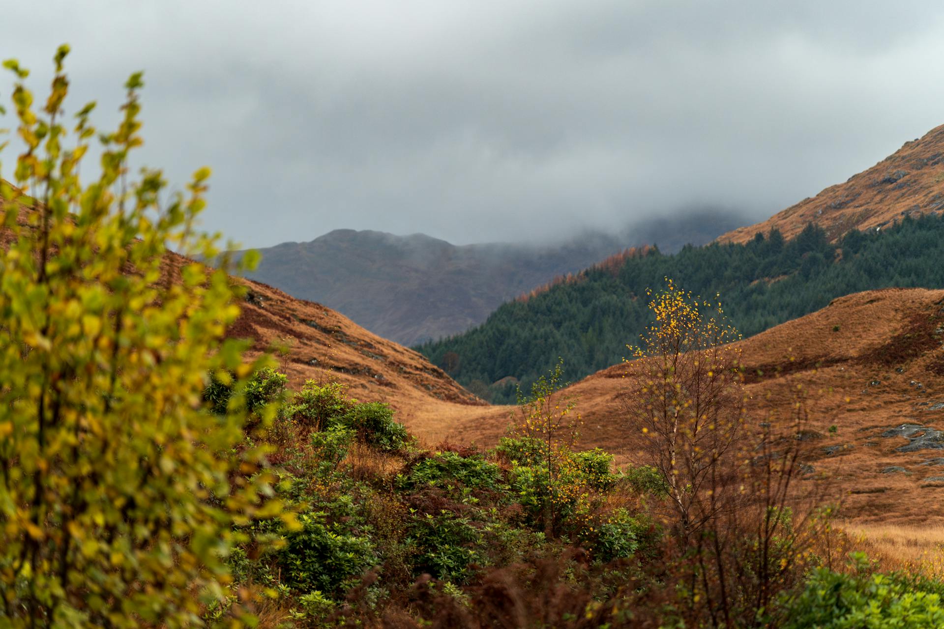Perthshire